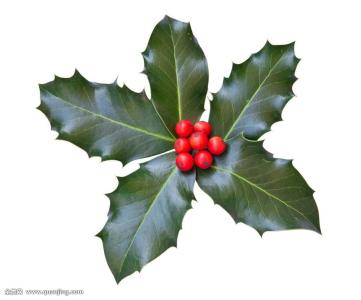 日本暂停批准外国人入境 中英航班暂停