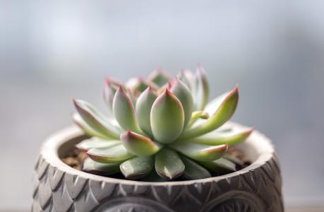 »ú¹¹¼ÓËÙÒµÎñ²¼¾Ö ÖúÍÆ½ðÈÚÊг¡»¥Áª»¥Í¨