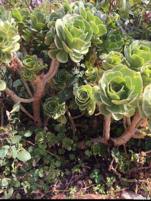 лªÎ¢ÆÀ£º¡°³ÙÀ´µÄµÀǸ¡±¸ø³Ï®ÕßÇÃÏ쾯ÖÓ