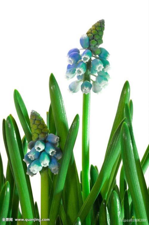 ɽһС5δůνģ31չů