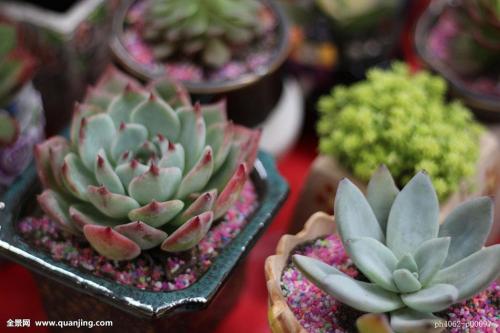 ×ܹæÄ£2000ÒÚÔª£¡Öйú¹úÓÐÆóÒµ»ì¸Ä»ù½ðÂä»§ÉϺ£