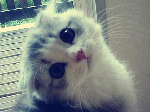 ¶¨µ÷з¢Õ¹½×¶Î¡°ÈýÅ©¡±¹¤×÷ÖØµã ¹Ø¼ü´ÊÀï¿´¹Ø¼ü