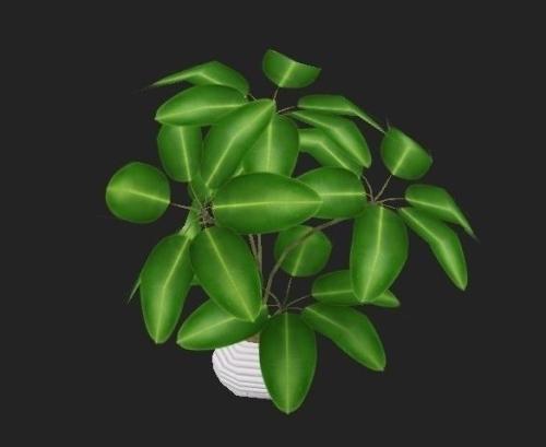 ×î¸ß¼ì·ÏÖ¹²¿·Ö˾·¨½âÊÍ ¾ßÌåÎļþĿ¼ÔÚÕâÀï