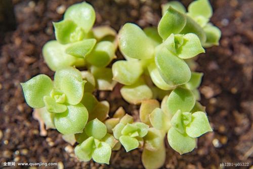 ŷ»׼202111ʱִӢŷЭ